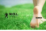 www.walexperience.com